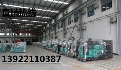 廣州柴油發(fā)電機(jī) 采購(gòu)、維修與生產(chǎn)全指南